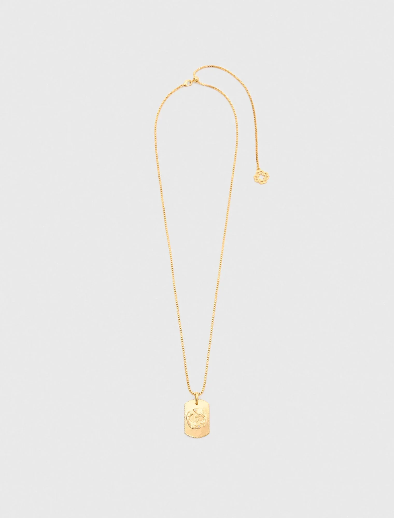 Pisces Zodiac sign plaque necklace Pisces - Image 6