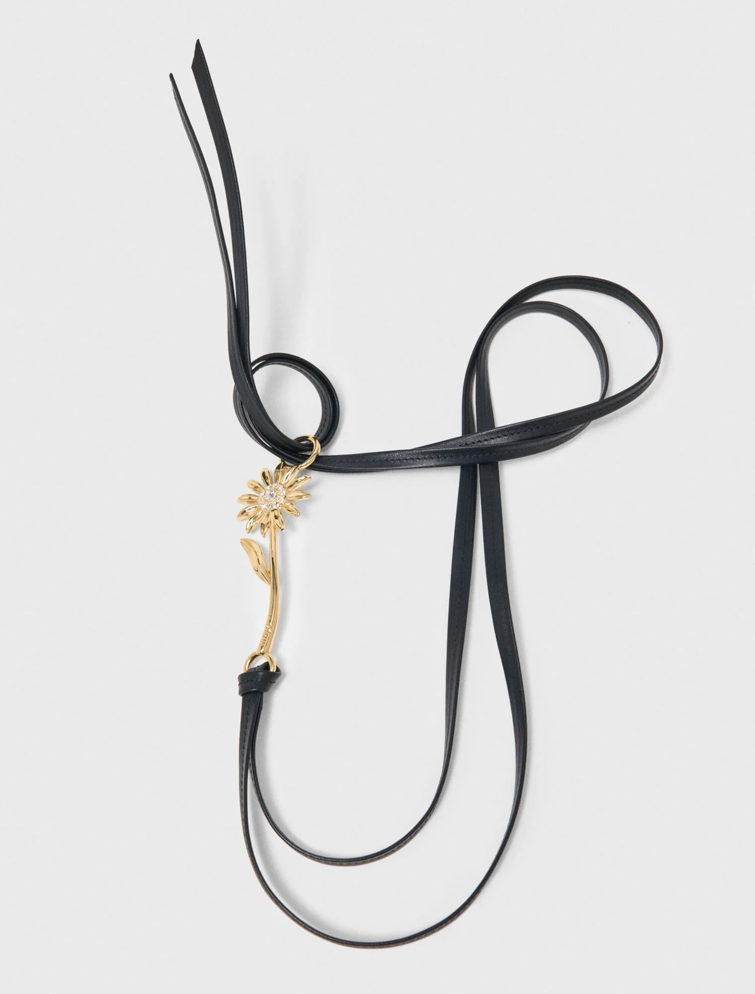 One Size Belt Black - Image 4
